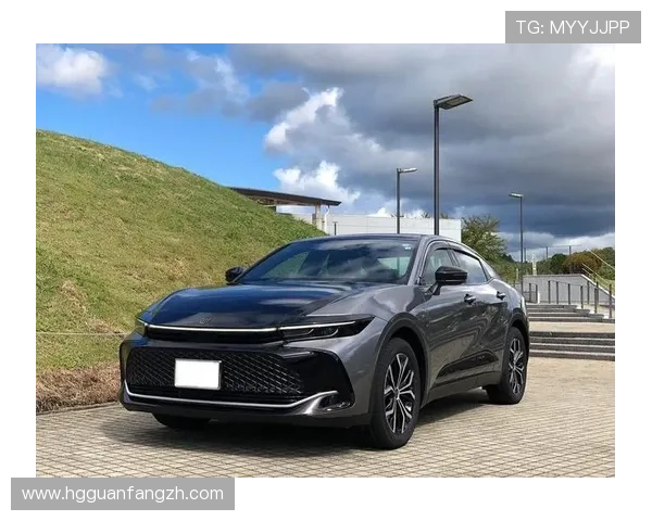 皇冠登陆最新版本上线,体验更流畅的操作体验 皇冠登陆最新版本上线,体验更流畅的操作体验