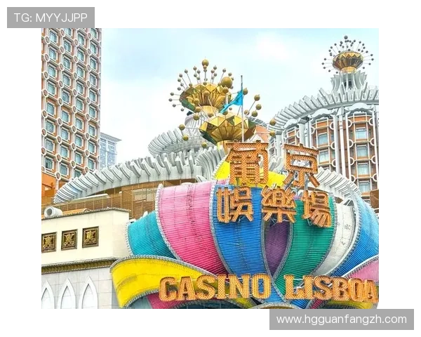 澳门赌场有几家:澳门合法经营的赌场总数及其分布区域分析